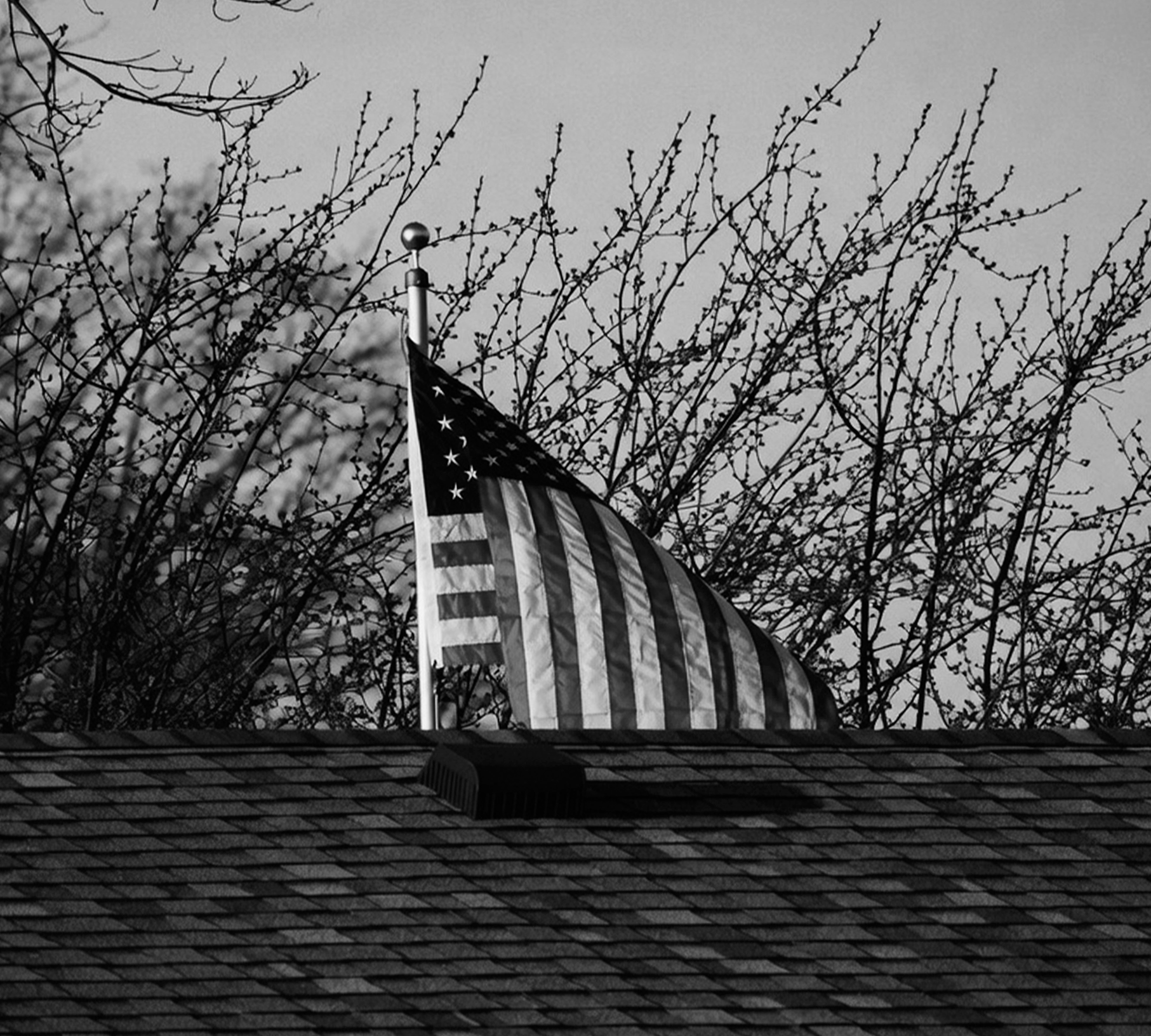 Bayfall Morrigan — Chicago